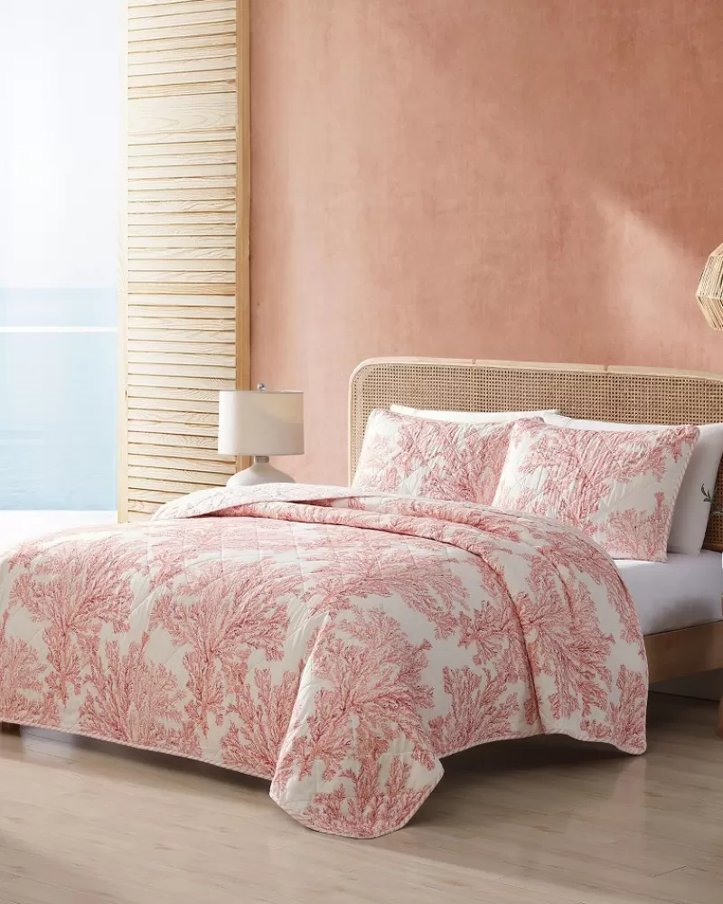 Tommy Bahama Coral Garden: Copriletto Reversibile Doppio con Stampa Tropicale, Set 2 Pezzi per Letto Singolo - Design Fresco e Confortevole