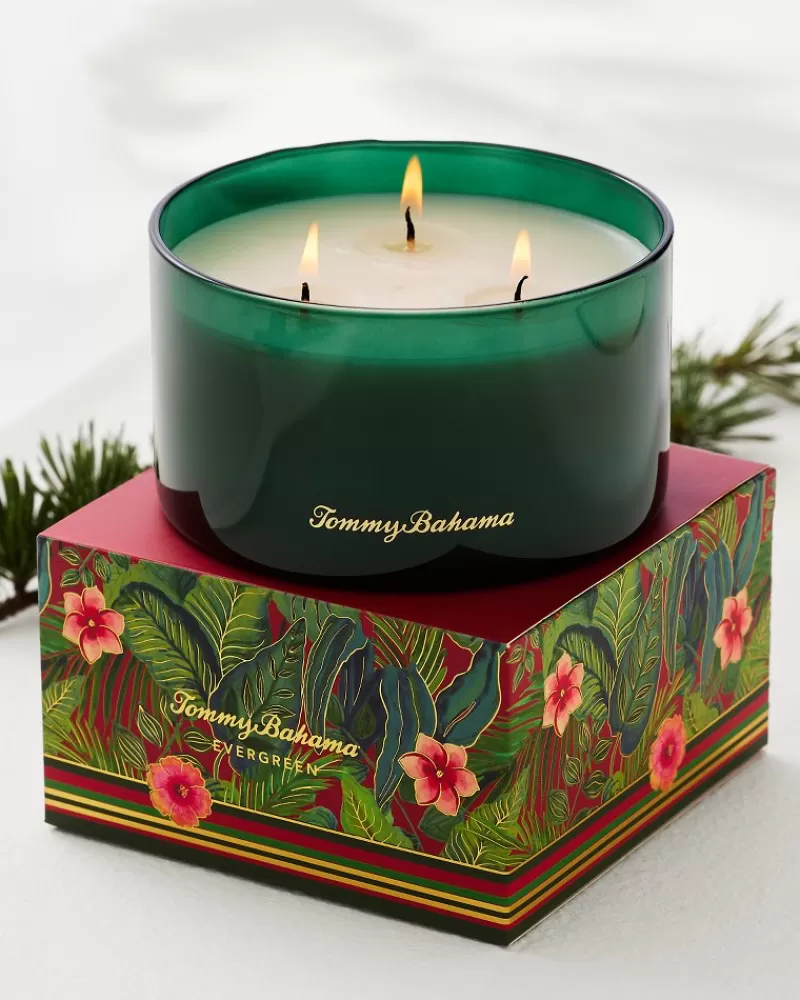 Tommy Bahama 14.5-oz. Boxed 3-Wick Candle