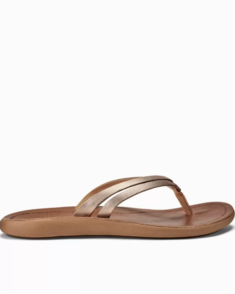 Women Tommy Bahama Women's OluKai® Kāpehe Luana Sandals